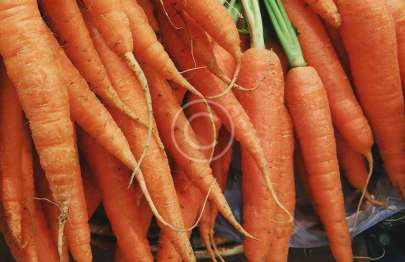 Carrots